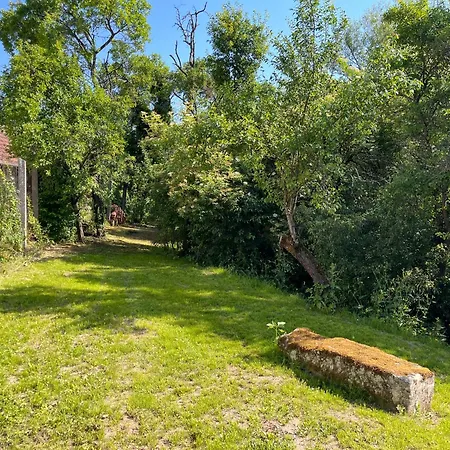 Apartamento Am Reichenbach *