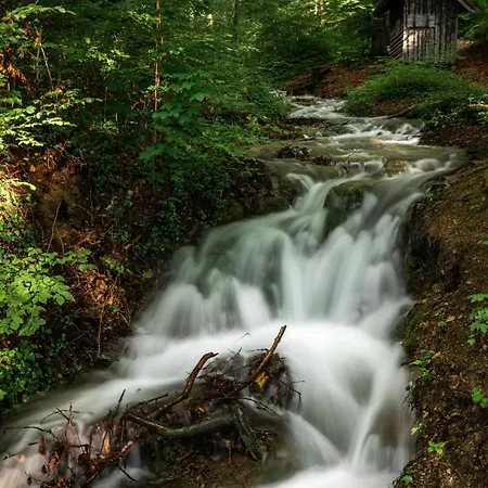Apartament Am Reichenbach *