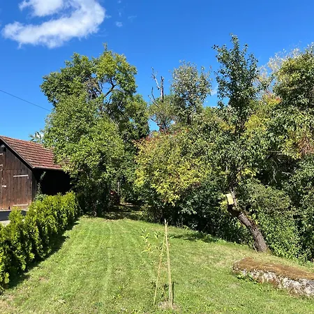 Appartement Am Reichenbach